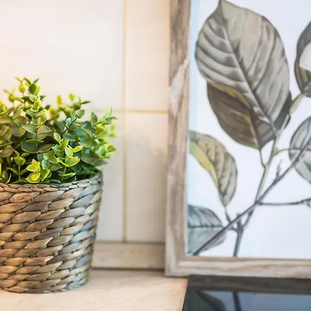 Siesta Sziget - Balaton-parti Σίοφοκ