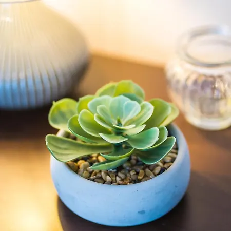 Siesta Sziget - Balaton-parti Σίοφοκ